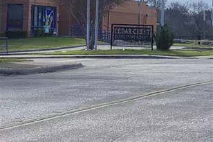 815 Bonnie View Rd, Dallas, TX 75203 - Photo 28