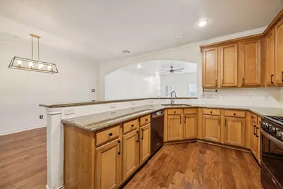 6728 Pistoia Drive, Frisco, TX 75034 - Photo 10