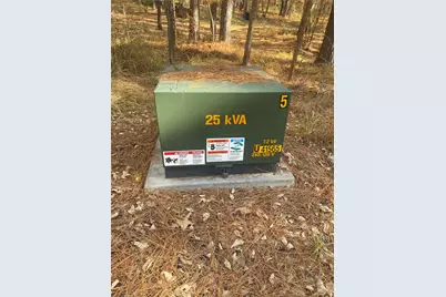 44.2 Acres State Hwy 64, Ben Wheeler, TX 75754 - Photo 12