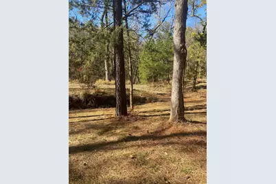 44.2 Acres State Hwy 64, Ben Wheeler, TX 75754 - Photo 14