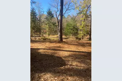 44.2 Acres State Hwy 64, Ben Wheeler, TX 75754 - Photo 4