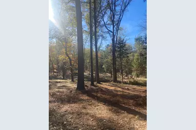44.2 Acres State Hwy 64, Ben Wheeler, TX 75754 - Photo 16