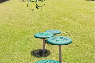 8220 Korat Vis, Godley, TX 76044 - Photo 28