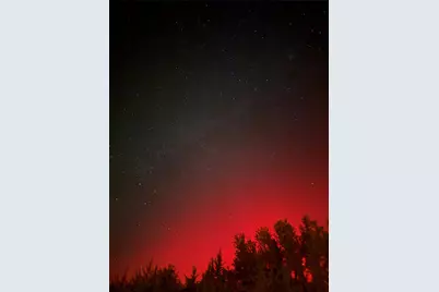 995 School House Road, Forestburg, TX 76239 - Photo 18