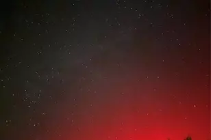 995 School House Rd, Forestburg, TX 76239 - Photo 18