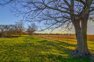1392 E US Hwy 69, Point, TX 75472 - Photo 1