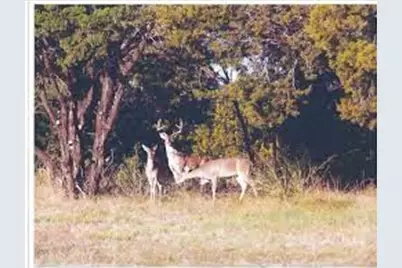 38037 Brookside Drive, Whitney, TX 76692 - Photo 6
