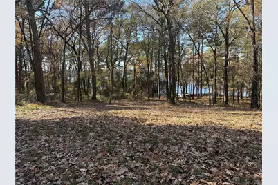 2777 County Road 4875, Pittsburg, TX 75686 - Photo 8