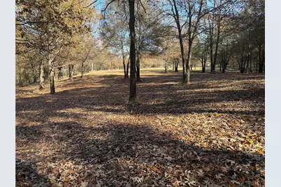 2777 County Road 4875, Pittsburg, TX 75686 - Photo 30