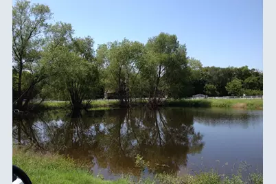 11321 Wild Rose Lane, Anna, TX 75409 - Photo 10