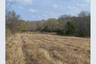 1386 Palmyra Road, Palmer, TX 75152 - Photo 16