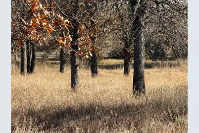 Tbd Private Road 1403 Road #1403, Morgan, TX 76671 - Photo 12