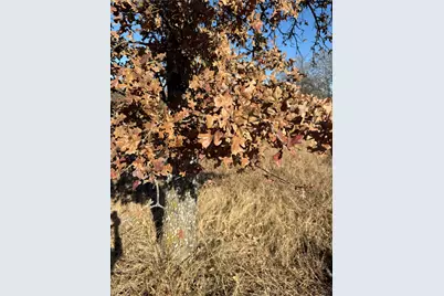 Tbd Private Road 1403 Road #1403, Morgan, TX 76671 - Photo 10