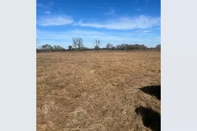 000 Vz County Rd 4406, Ben Wheeler, TX 75754 - Photo 8