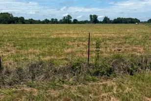 000 Vz County Rd 4406, Ben Wheeler, TX 75754 - Photo 1