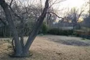 5728 Rockhill Rd, Fort Worth, TX 76112 - Photo 38