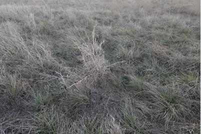 601 County Road 359, Dublin, TX 76446 - Photo 26