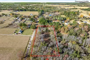 11142 County Rd 4103, Lindale, TX 75771 - Photo 6