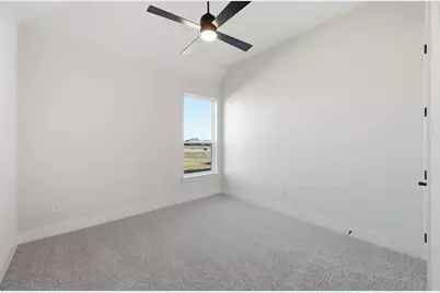 100 Mikasi, Godley, TX 76044 - Photo 8