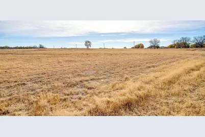 227 Sweetgrass Drive, Poolville, TX 76487 - Photo 8