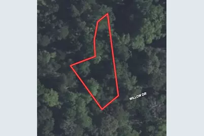 Lot 118 Willow Dr, Wills Point, TX 75169 - Photo 1