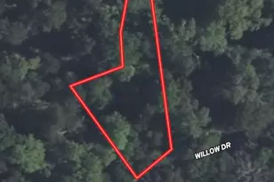 Lot 118 Willow Dr, Wills Point, TX 75169 - Photo 1