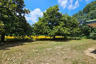 1018 An County Road 2301, Tennessee Colony, TX 75861 - Photo 24