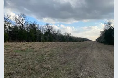 Tbd N Cr 1200, Athens, TX 75751 - Photo 16