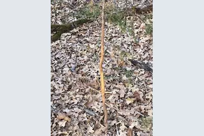 Tbd N Cr 1200, Athens, TX 75751 - Photo 12