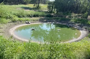 1323 E College St, Princeton, TX 75407 - Photo 28