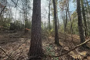 Tbd Cr 2733, Marietta, TX 75566 - Photo 2