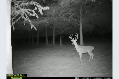 803-2 Westshore Drive, Saint Paul, TX 75098 - Photo 34