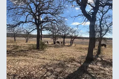 1705 County Road 122, Hico, TX 76457 - Photo 20