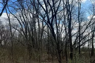 N/A Jackson Ave, Roxton, TX 75477 - Photo 1