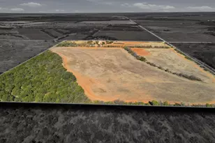 457 Co Rd 387, Merkel, TX 79536 - Photo 10