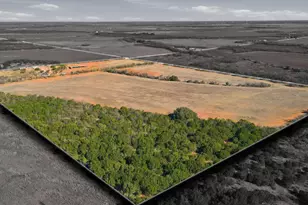 457 Co Rd 387, Merkel, TX 79536 - Photo 8