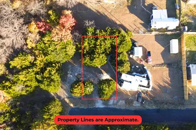 Tbd County Road 919 #Lot 23B, Nevada, TX 75173 - Photo 12