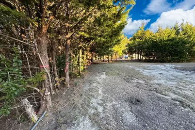 Tbd County Road 919 #Lot 23A, Nevada, TX 75173 - Photo 4