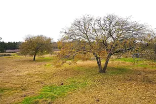 2240 County Road 2162, Barry, TX 75102 - Photo 10