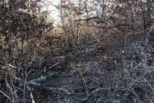 4285 N Fm 51, Weatherford, TX 76085 - Photo 38