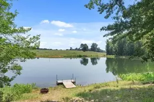 429 Private Rd 3398, Big Sandy, TX 75575 - Photo 6