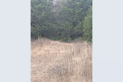 17454 County Road 663, Farmersville, TX 75442 - Photo 6