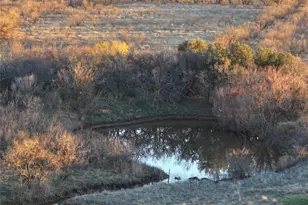 901 FM613, Tuscola, TX 79562 - Photo 24