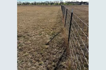 981 Cr 979 Road, Fate, TX 75179 - Photo 8