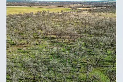 Lot 19 County Road 446, De Leon, TX 76444 - Photo 6