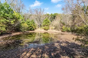 12244 County Rd 180, Tyler, TX 75703 - Photo 40