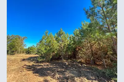 6 & 7 County Road 3121, Long Branch, TX 75669 - Photo 2