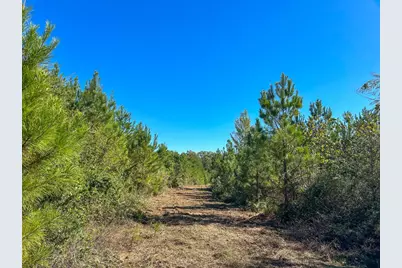 6 & 7 County Road 3121, Long Branch, TX 75669 - Photo 14