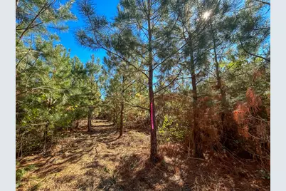 6 & 7 County Road 3121, Long Branch, TX 75669 - Photo 6