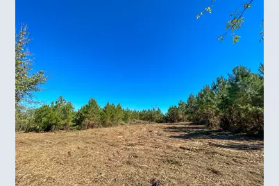 6 & 7 County Road 3121, Long Branch, TX 75669 - Photo 10